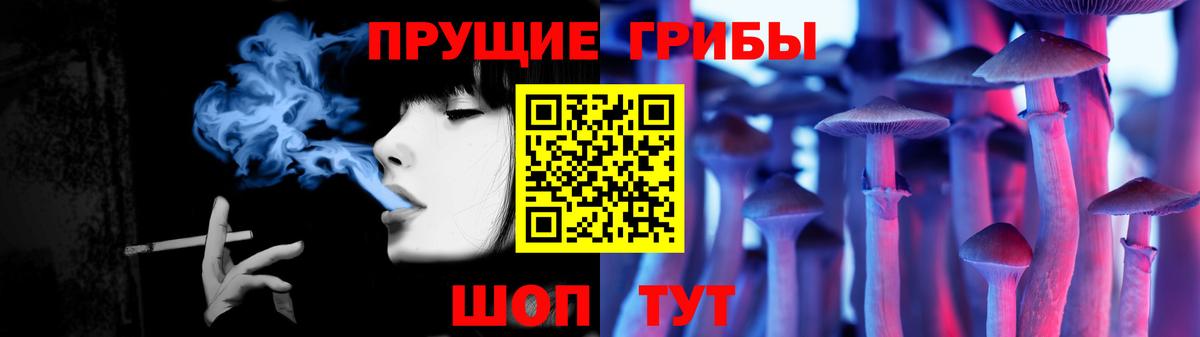 Балашиха  Галлюциногенные грибы Cubensis  Вход с VPN  Псилоцибиновые грибы Magic Shrooms 
